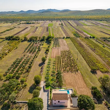 Paula Zadarvillas * Budak