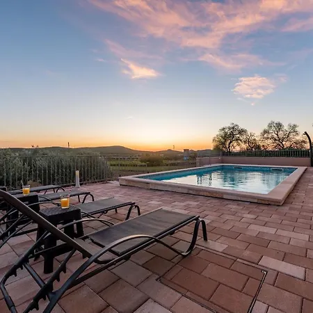 Paula Zadarvillas Budak