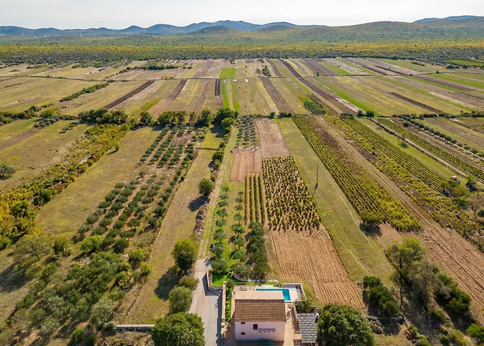 Paula Zadarvillas * Budak