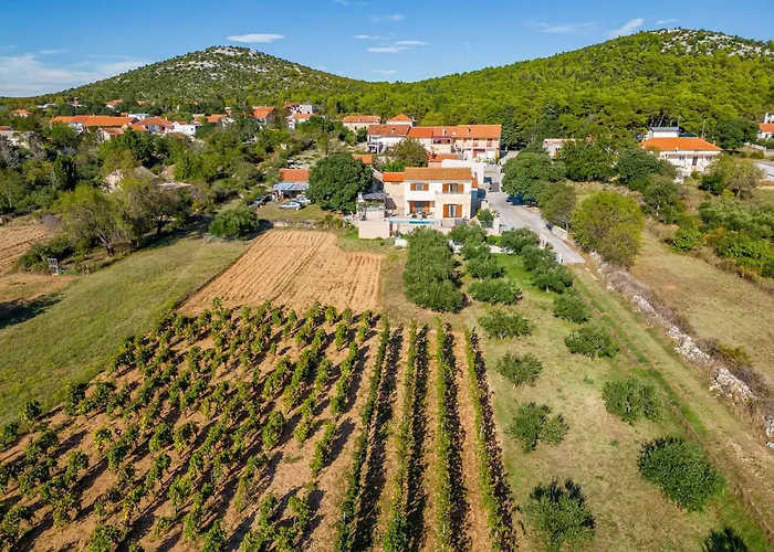 Paula Zadarvillas * Budak